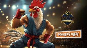 Cá Cược Đá Gà Trực Tiếp
