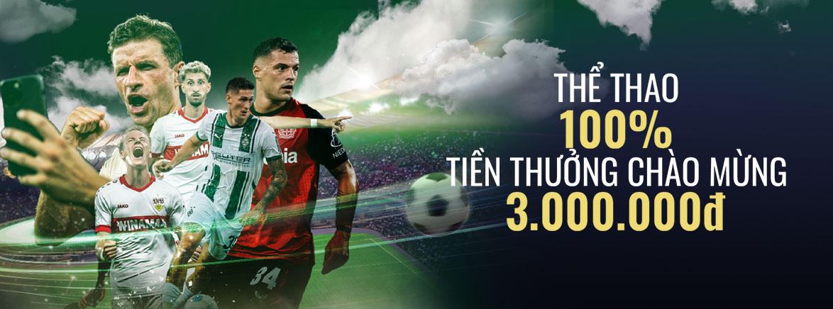 Banner Sport Mcw